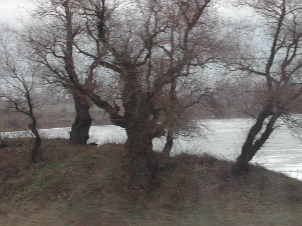 Frozen lake